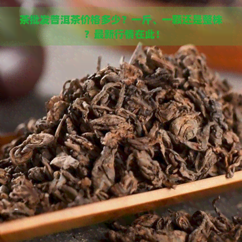 茶批发普洱茶价格多少？一斤、一颗还是整株？最新行情在此！