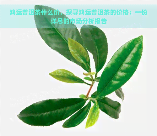 鸿运普洱茶什么价，探寻鸿运普洱茶的价格：一份详尽的市场分析报告