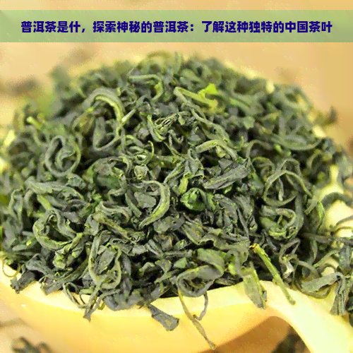 普洱茶是什，探索神秘的普洱茶：了解这种独特的中国茶叶