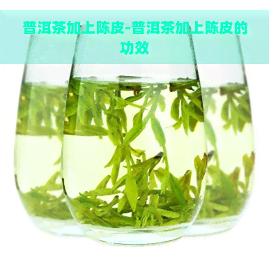 普洱茶加上陈皮-普洱茶加上陈皮的功效