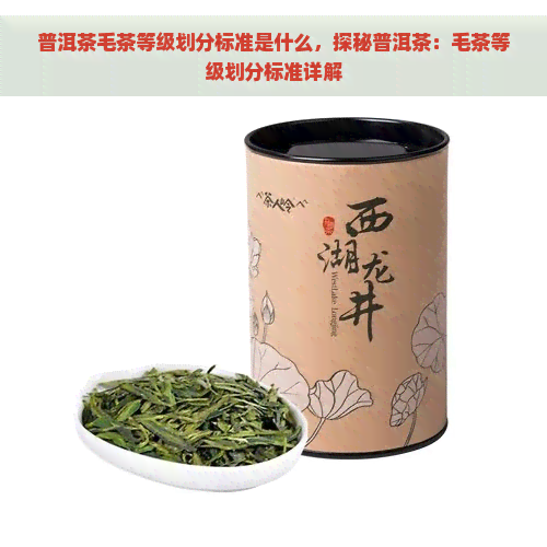 普洱茶毛茶等级划分标准是什么，探秘普洱茶：毛茶等级划分标准详解