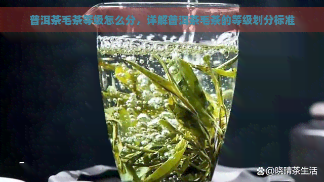 普洱茶毛茶等级怎么分，详解普洱茶毛茶的等级划分标准