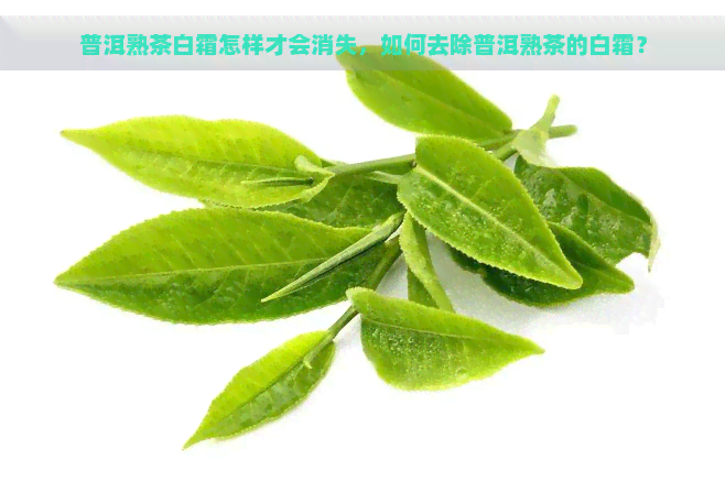 普洱熟茶白霜怎样才会消失，如何去除普洱熟茶的白霜？