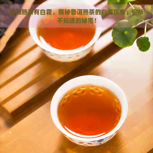 普洱熟茶有白霜，揭秘普洱熟茶的白霜现象：你所不知道的秘密！