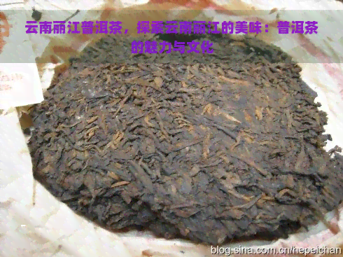 云南丽江普洱茶，探索云南丽江的美味：普洱茶的魅力与文化