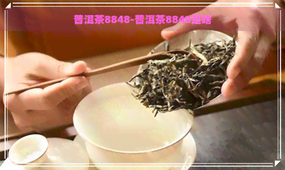 普洱茶8848-普洱茶8848是啥