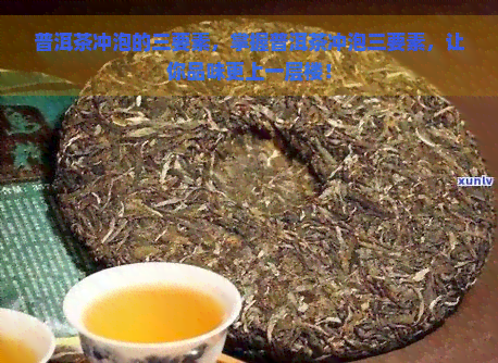 普洱茶冲泡的三要素，掌握普洱茶冲泡三要素，让你品味更上一层楼！