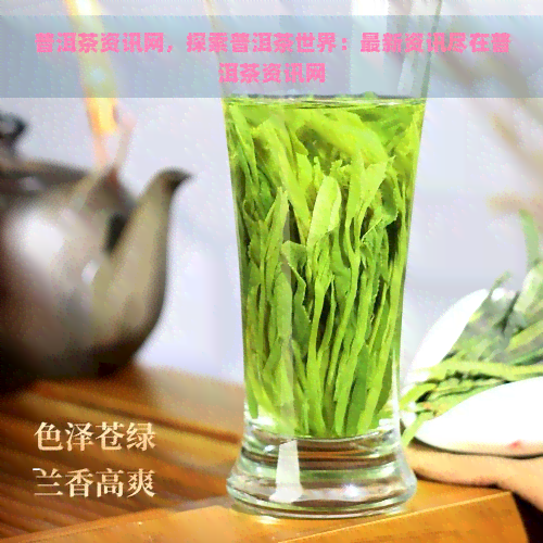 普洱茶资讯网，探索普洱茶世界：最新资讯尽在普洱茶资讯网