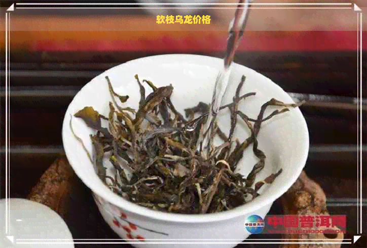 软枝乌龙价格