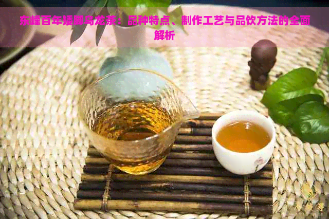 东峰百年矮脚乌龙茶：品种特点、制作工艺与品饮方法的全面解析