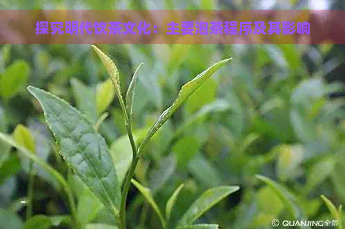 探究明代饮茶文化：主要泡茶程序及其影响