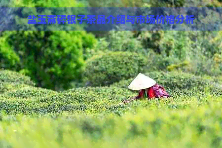 盐玉斋碎银子茶品介绍与市场价格分析