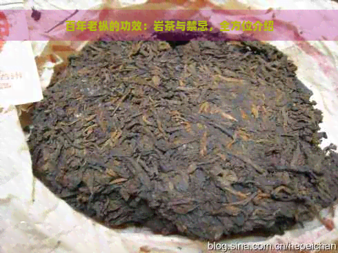 中国茶 武夷岩茶 特級 百年老枞 100g 武夷岩茶 種類