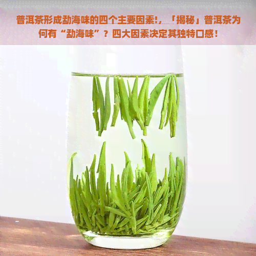 普洱茶形成勐海味的四个主要因素!，「揭秘」普洱茶为何有“勐海味”？四大因素决定其独特口感！