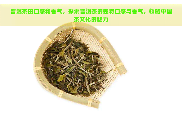 普洱茶的口感和香气，探索普洱茶的独特口感与香气，领略中国茶文化的魅力