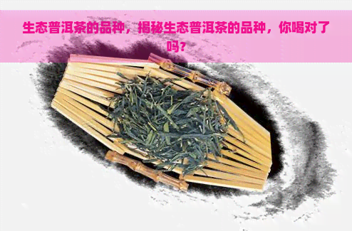 生态普洱茶的品种，揭秘生态普洱茶的品种，你喝对了吗？