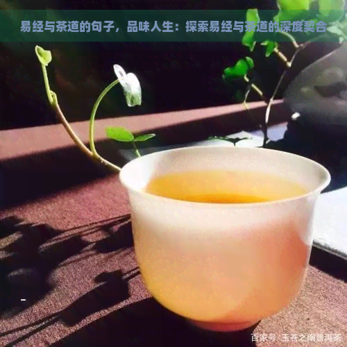 易经与茶道的句子，品味人生：探索易经与茶道的深度契合