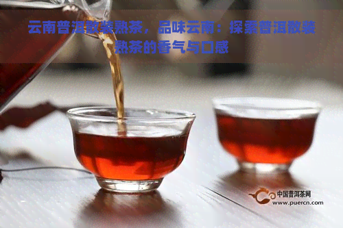 云南普洱散装熟茶，品味云南：探索普洱散装熟茶的香气与口感