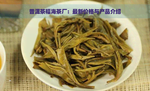 普洱茶福海茶厂：最新价格与产品介绍