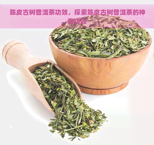 陈皮古树普洱茶功效，探索陈皮古树普洱茶的神奇功效