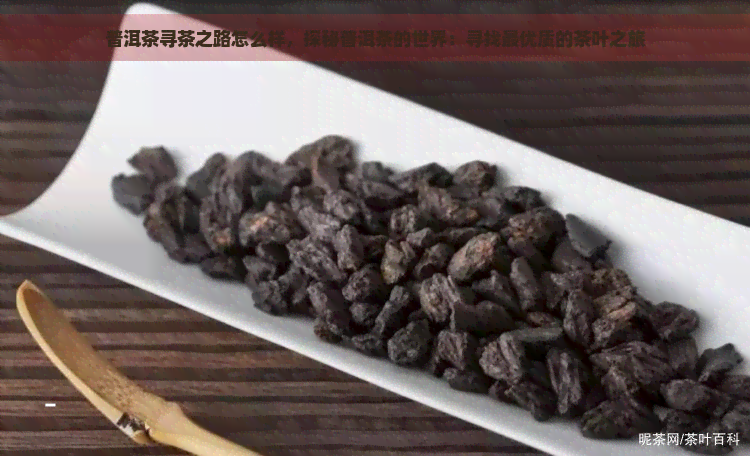 普洱茶寻茶之路怎么样，探秘普洱茶的世界：寻找更优质的茶叶之旅