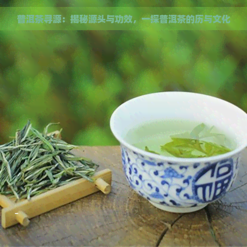 普洱茶寻源：揭秘源头与功效，一探普洱茶的历与文化