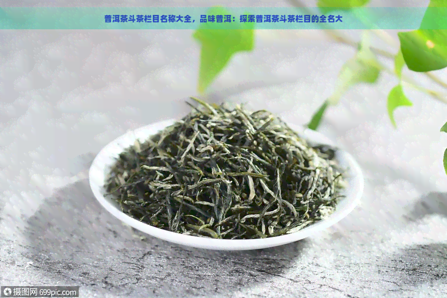 普洱茶斗茶栏目名称大全，品味普洱：探索普洱茶斗茶栏目的全名大