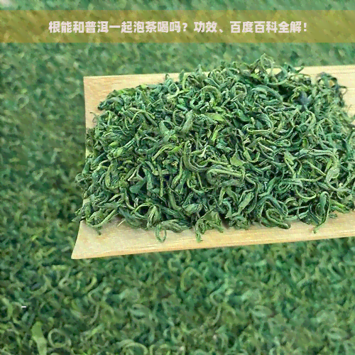 根能和普洱一起泡茶喝吗？功效、百度百科全解！