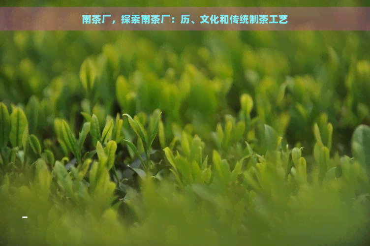 南茶厂，探索南茶厂：历、文化和传统制茶工艺