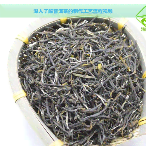 深入了解普洱茶的制作工艺流程视频