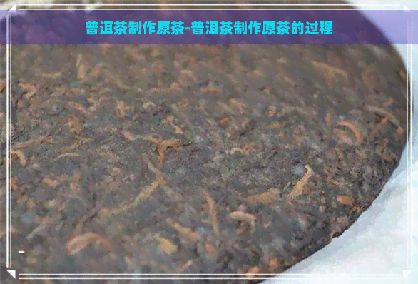 普洱茶制作原茶-普洱茶制作原茶的过程