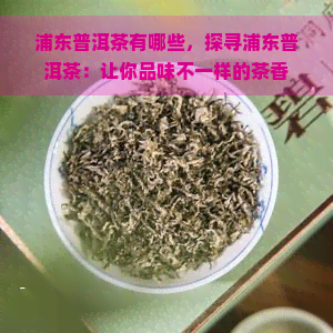 浦东普洱茶有哪些，探寻浦东普洱茶：让你品味不一样的茶香