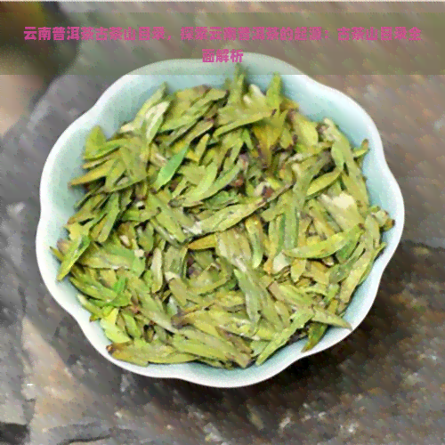 云南普洱茶古茶山目录，探索云南普洱茶的起源：古茶山目录全面解析