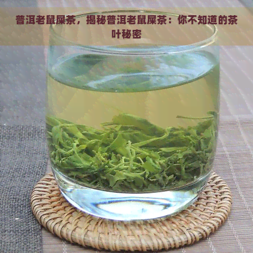 普洱老鼠屎茶，揭秘普洱老鼠屎茶：你不知道的茶叶秘密