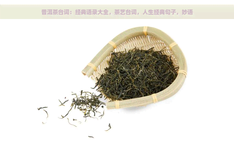 普洱茶台词：经典语录大全，茶艺台词，人生经典句子，妙语