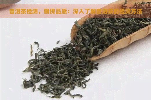 普洱茶检测，确保品质：深入了解普洱茶的检测方法