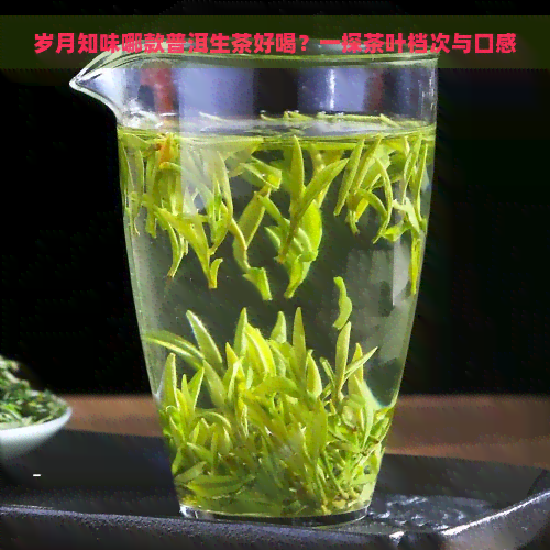 岁月知味哪款普洱生茶好喝？一探茶叶档次与口感