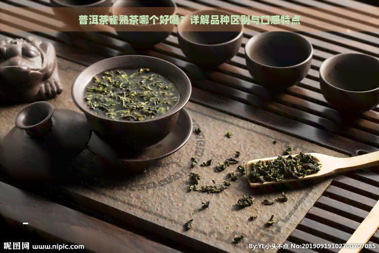 普洱茶雀熟茶哪个好喝？详解品种区别与口感特点