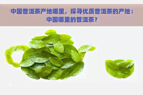 中国普洱茶产地哪里，探寻优质普洱茶的产地：中国哪里的普洱茶？