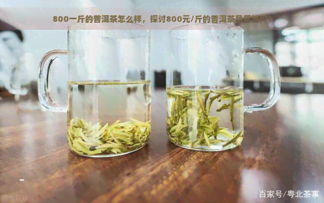 800一斤的普洱茶怎么样，探讨800元/斤的普洱茶品质如何？