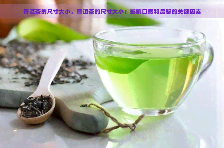 普洱茶的尺寸大小，普洱茶的尺寸大小：影响口感和品鉴的关键因素