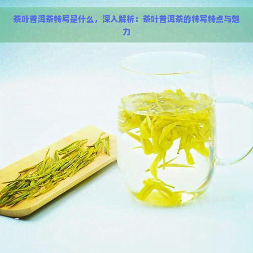 茶叶普洱茶特写是什么，深入解析：茶叶普洱茶的特写特点与魅力