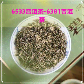 6533普洱茶-6381普洱茶