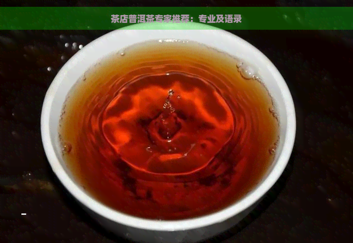 茶店普洱茶专家推荐：专业及语录