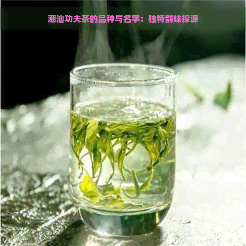 潮汕功夫茶的品种与名字：独特韵味探源