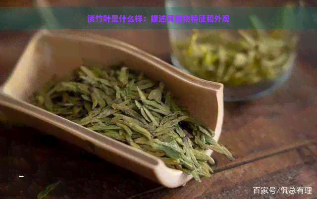 淡竹叶是什么样：描述其植物特征和外观