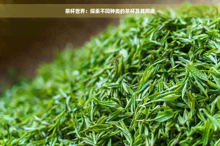 茶杯世界：探索不同种类的茶杯及其用途