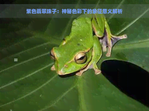 紫色翡翠珠子：神秘色彩下的象征意义解析