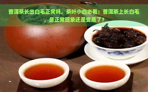 普洱茶长出白毛正常吗，茶叶小白必看：普洱茶上长白毛，是正常现象还是变质了？