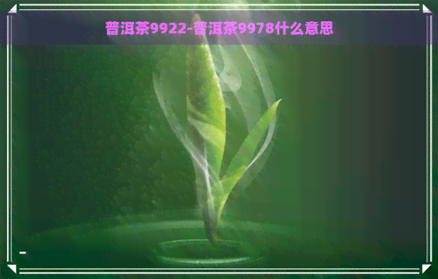 普洱茶9922-普洱茶9978什么意思